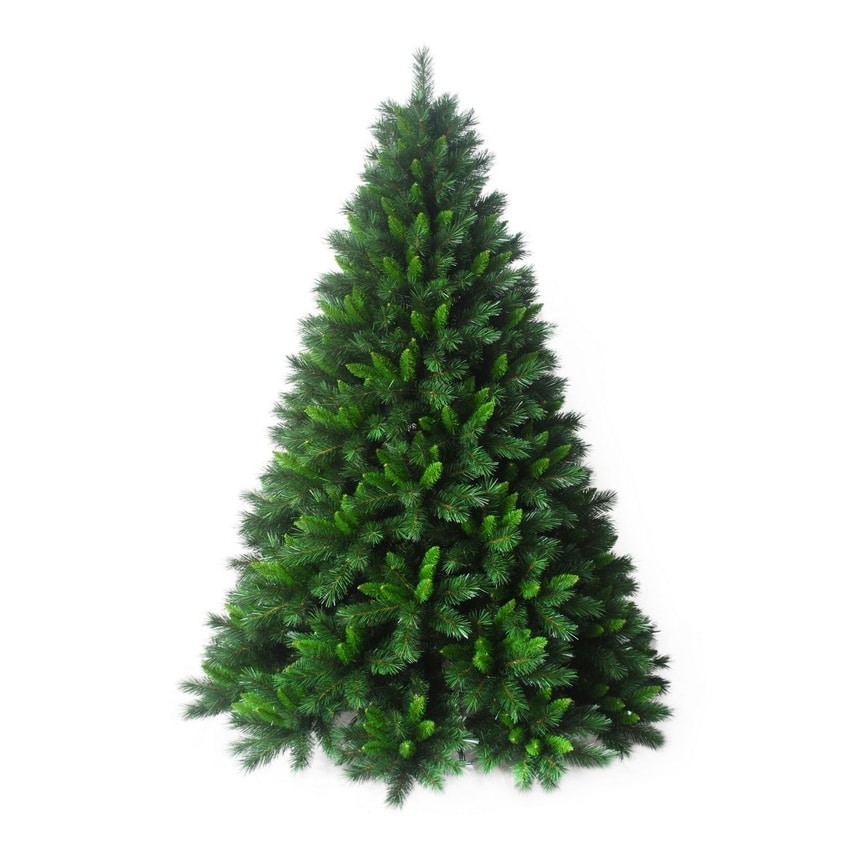 Customs clearance of Christmas tree